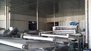 北京60噸豆芽生產(chǎn)線(xiàn)